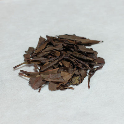 Spring Hojicha