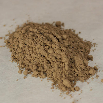 Premium Hojicha powder　